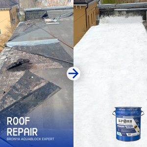 Roof Repair with 'Bronya AquaBlock Expert', Kaluga (Photos)