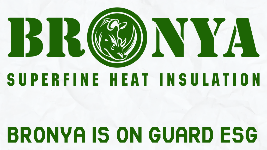 Bronya is on guard ESG.png