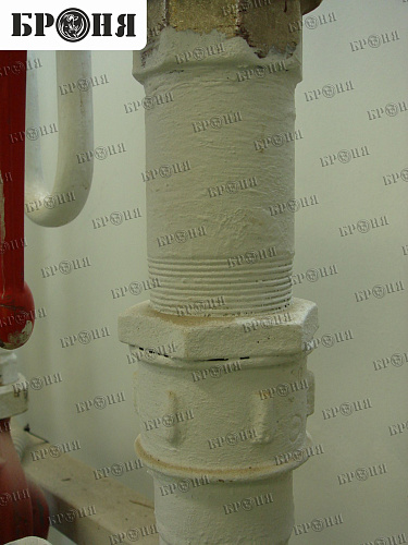 Photo report on the insulation with Bronya - "Nutricia - Danone" in Istra, Moscow region