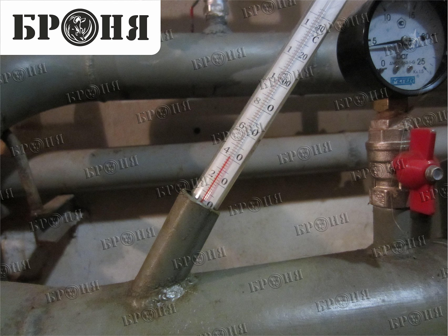 Волгоград, библиотека им. Горького