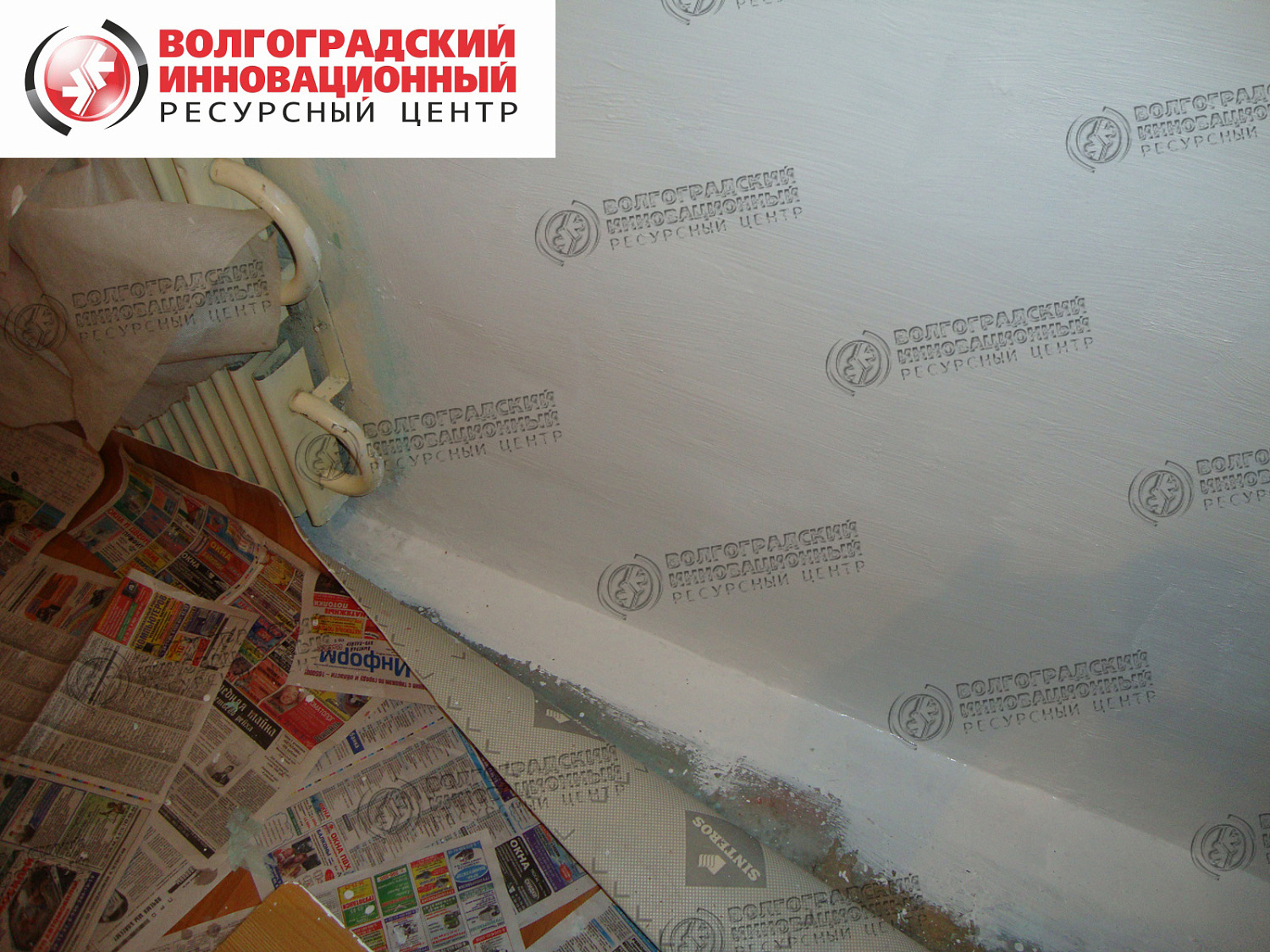 частная квартира плесень