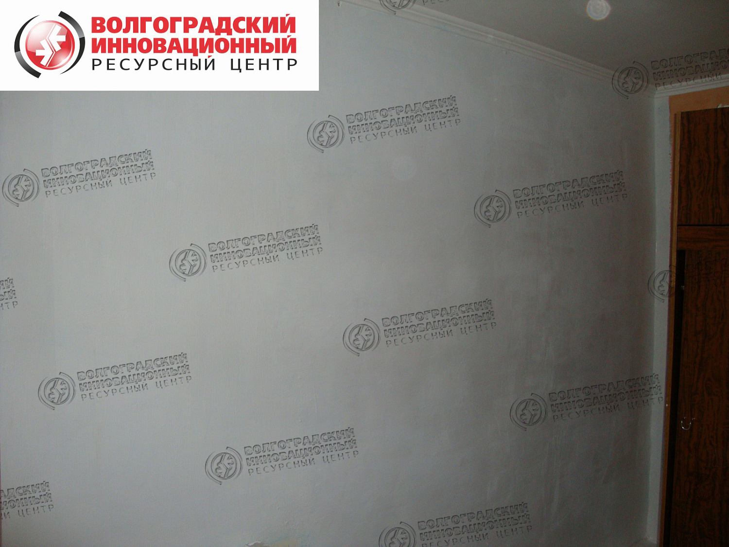 частная квартира плесень