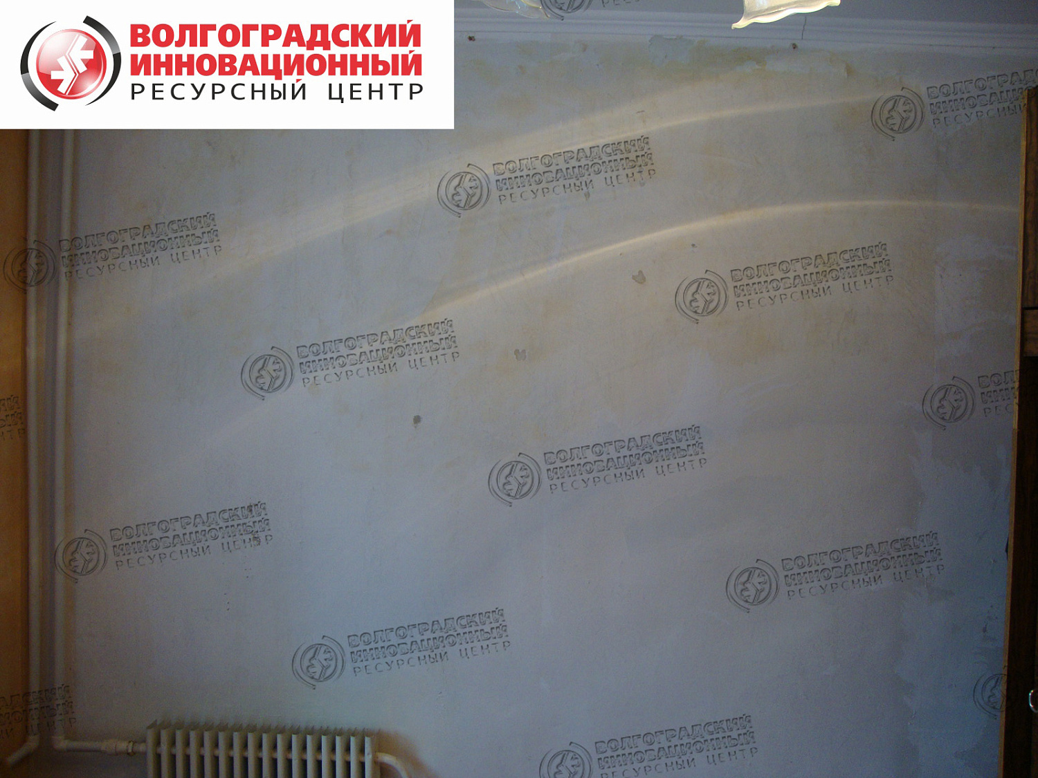 частная квартира плесень