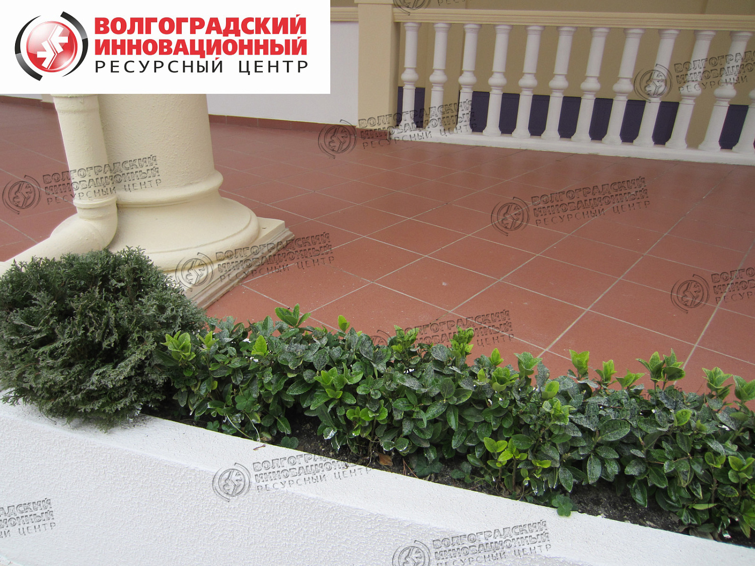 Sochi Office of the President of FSUE Sanatorium Rus