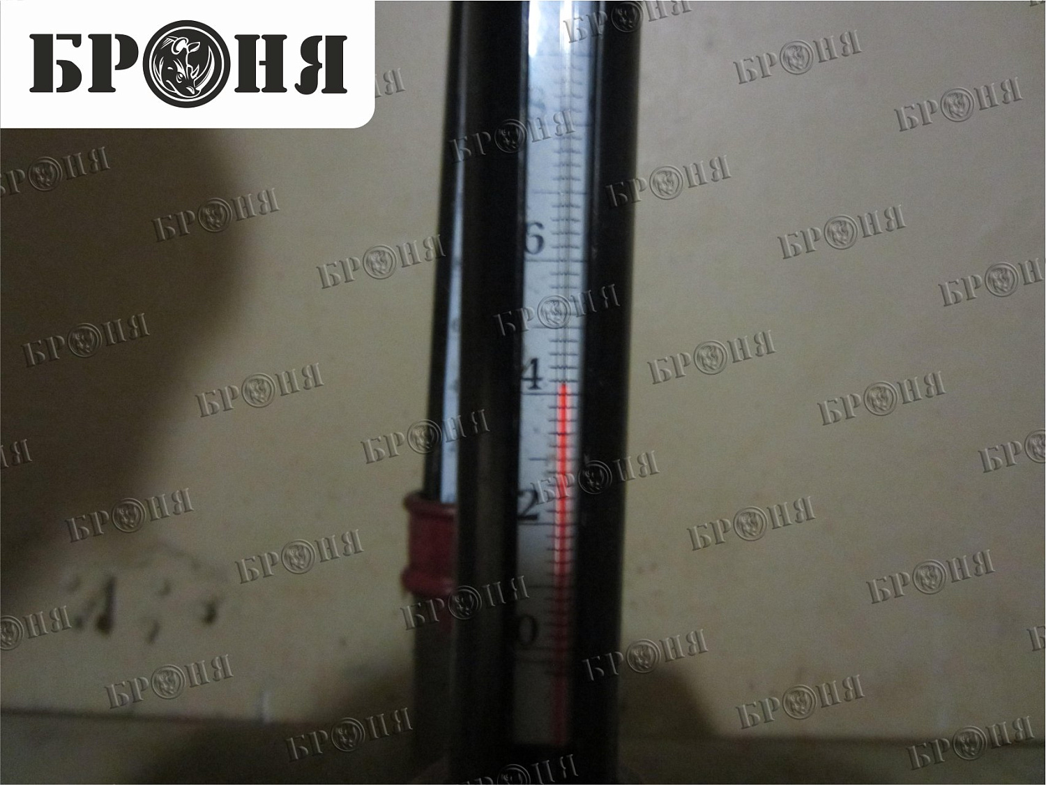 Волгоград, библиотека им. Горького