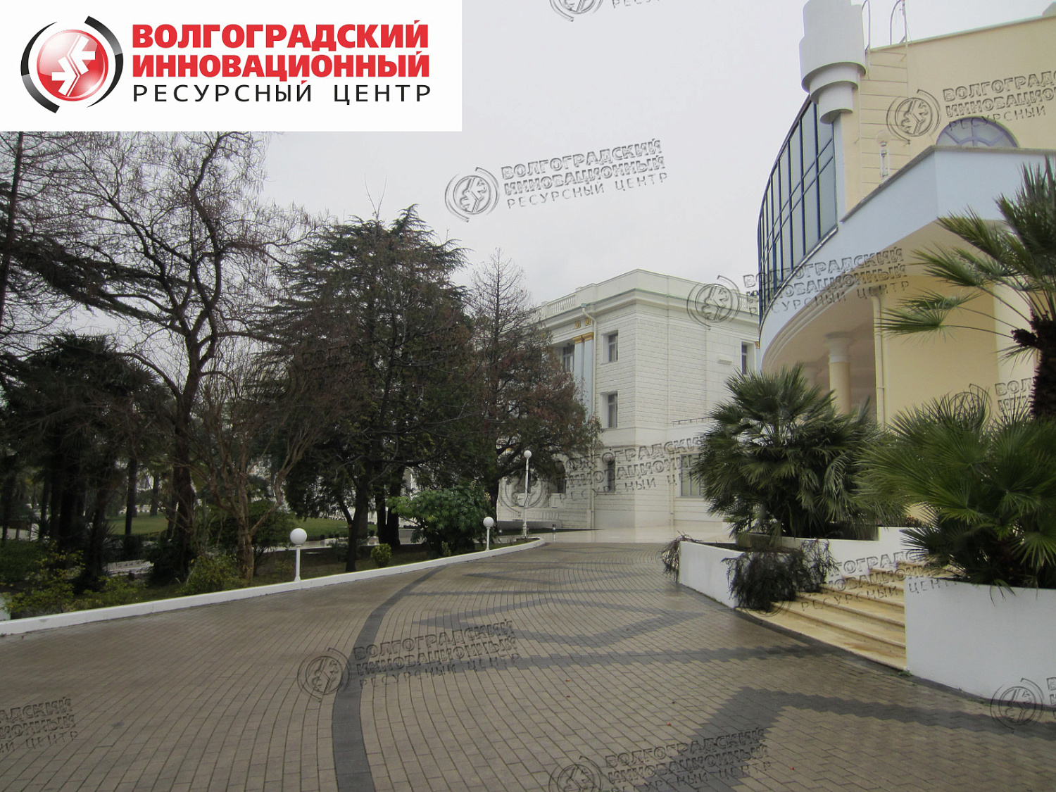 Sochi Office of the President of FSUE Sanatorium Rus