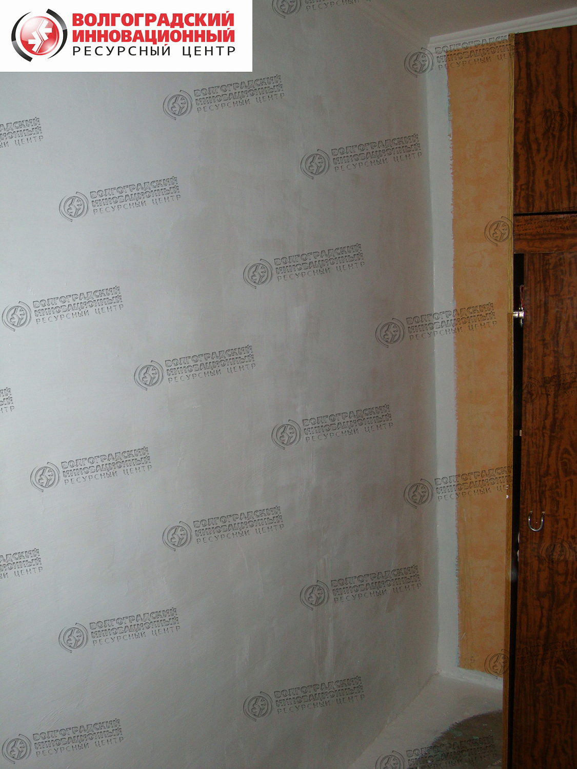 частная квартира плесень