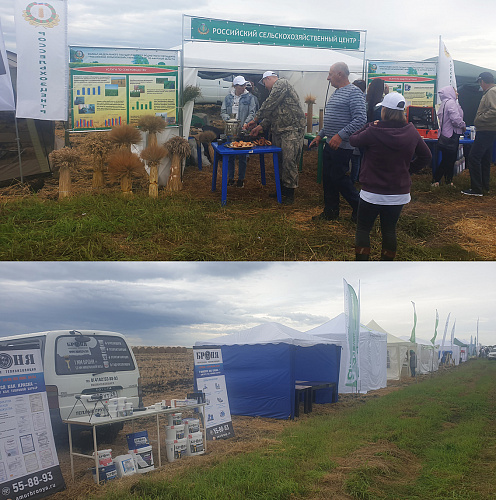 Participation of the company "Bronya" in the exhibition of innovations in agriculture, Amur region (photo)