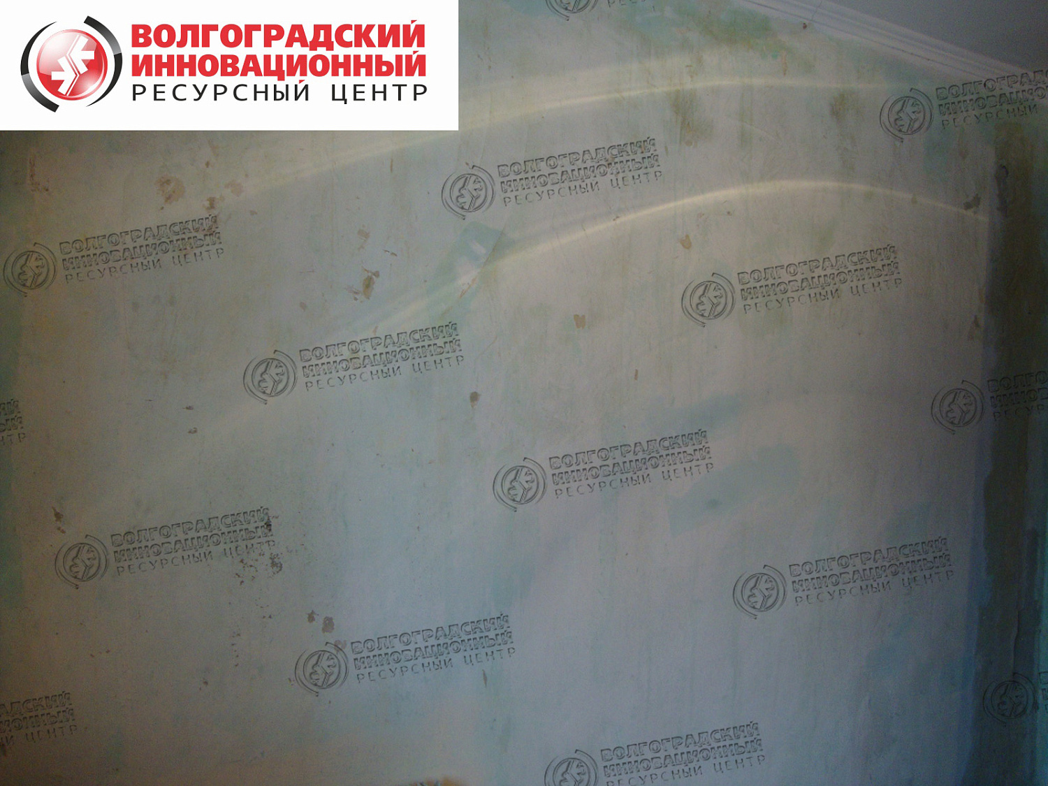 частная квартира плесень