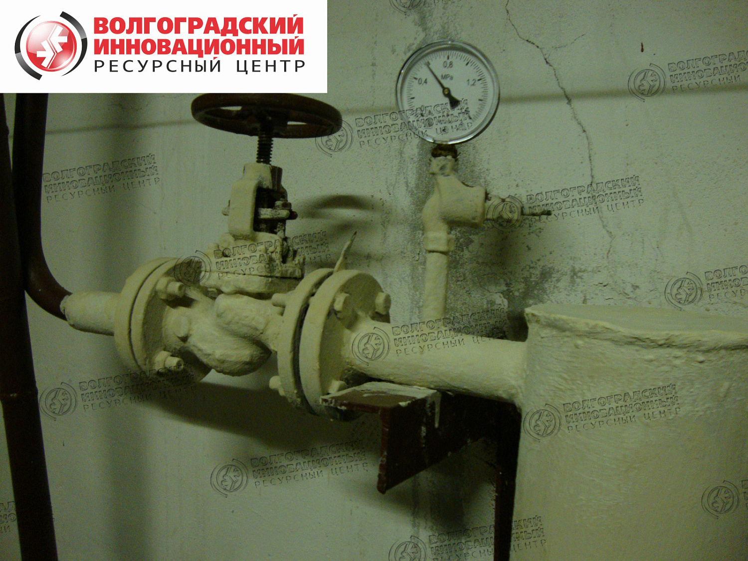 Кострома подвал