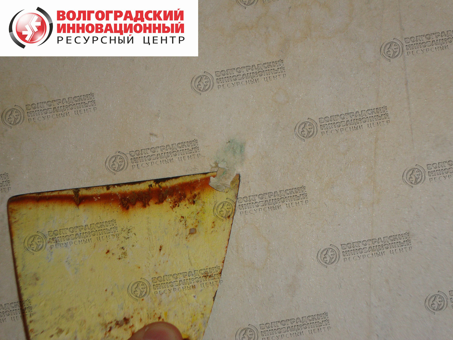 частная квартира плесень