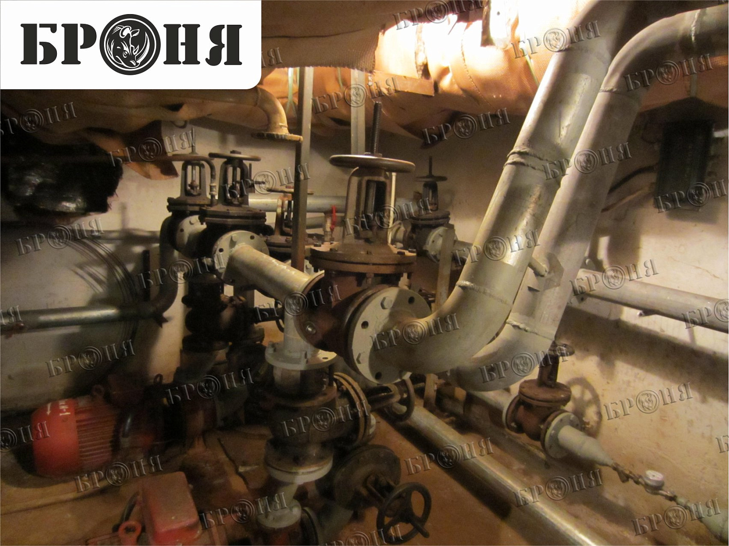 Волгоград, библиотека им. Горького