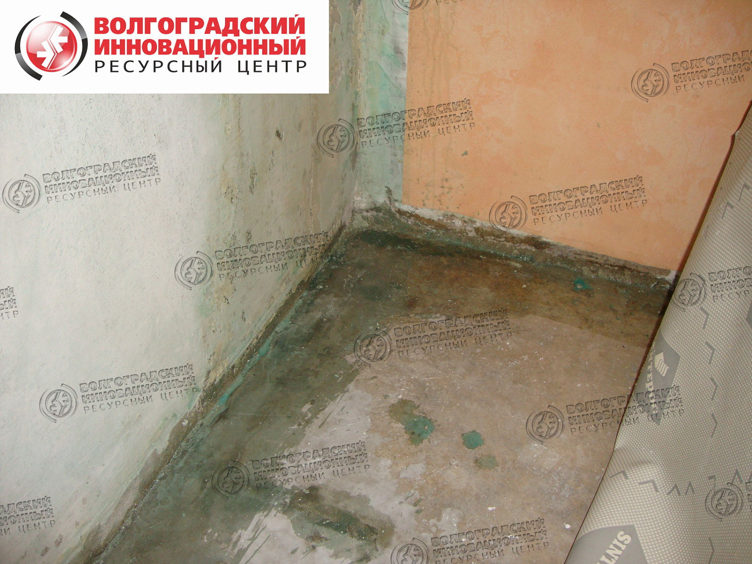 частная квартира плесень