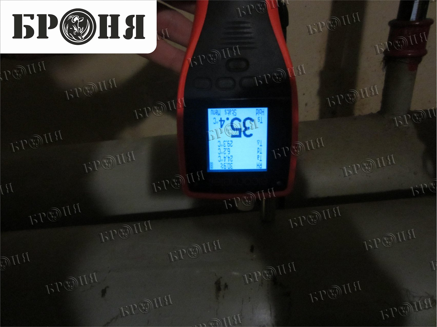 Волгоград, библиотека им. Горького