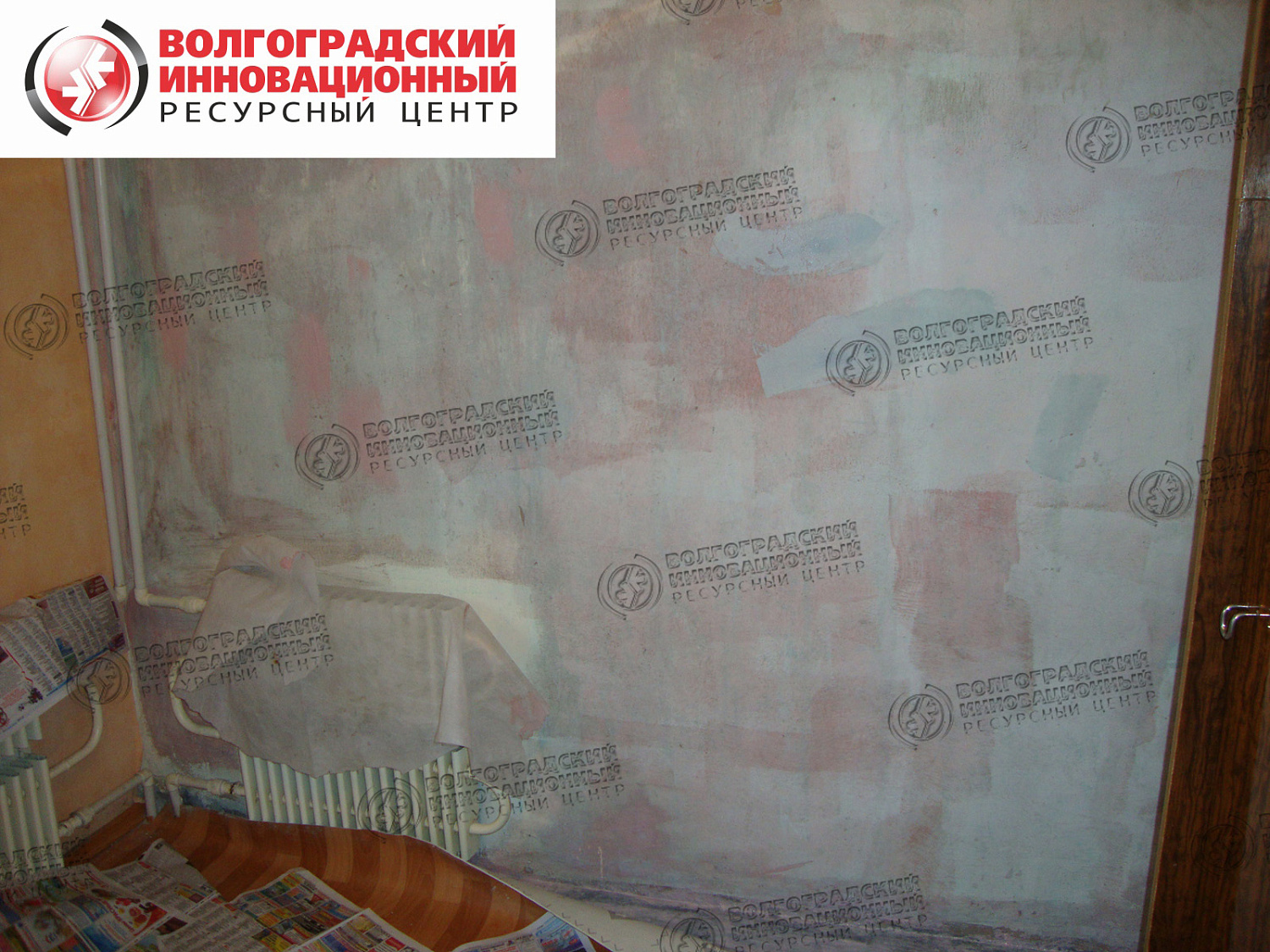 частная квартира плесень