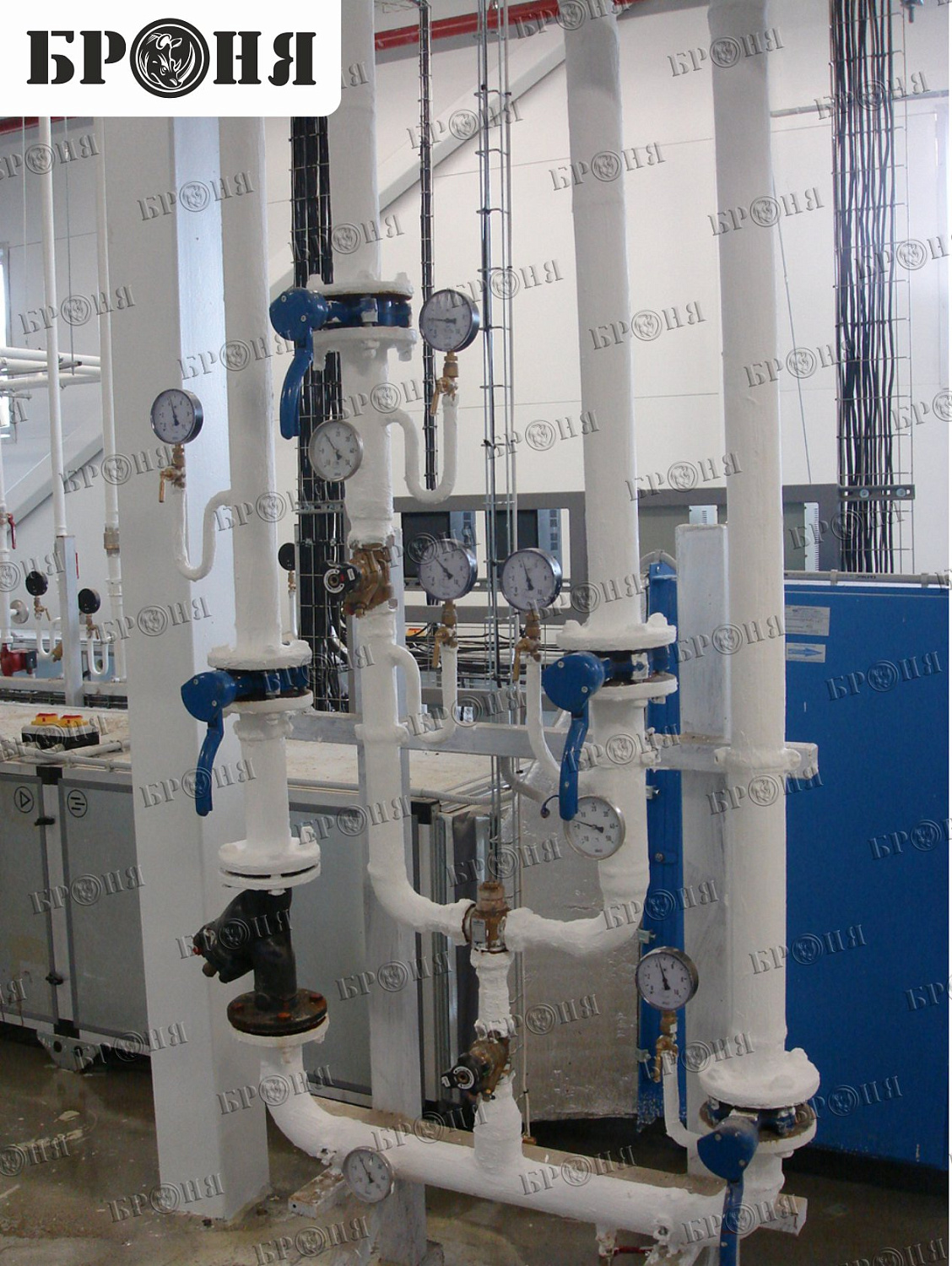 Истра, Московская обл. «НУТРИЦИЯ – ДАНОН»