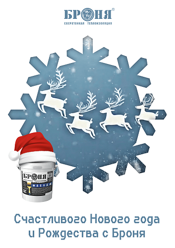 Company NPO "Bronya" congratulates you on the coming Christmas and New Year!