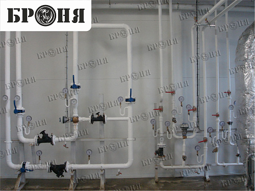 Photo report on the insulation with Bronya - "Nutricia - Danone" in Istra, Moscow region