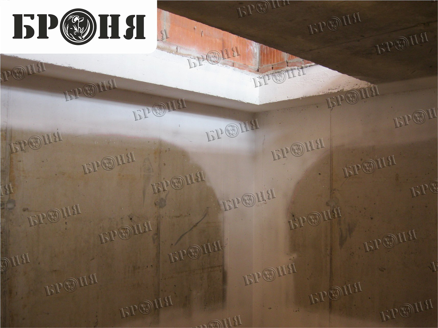 Санкт-Петербург ООО Холидей