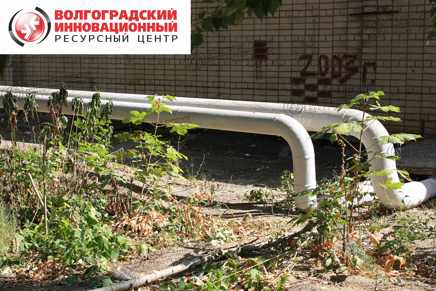 Волгоград ул.Бежицкая + ул.Быстрова