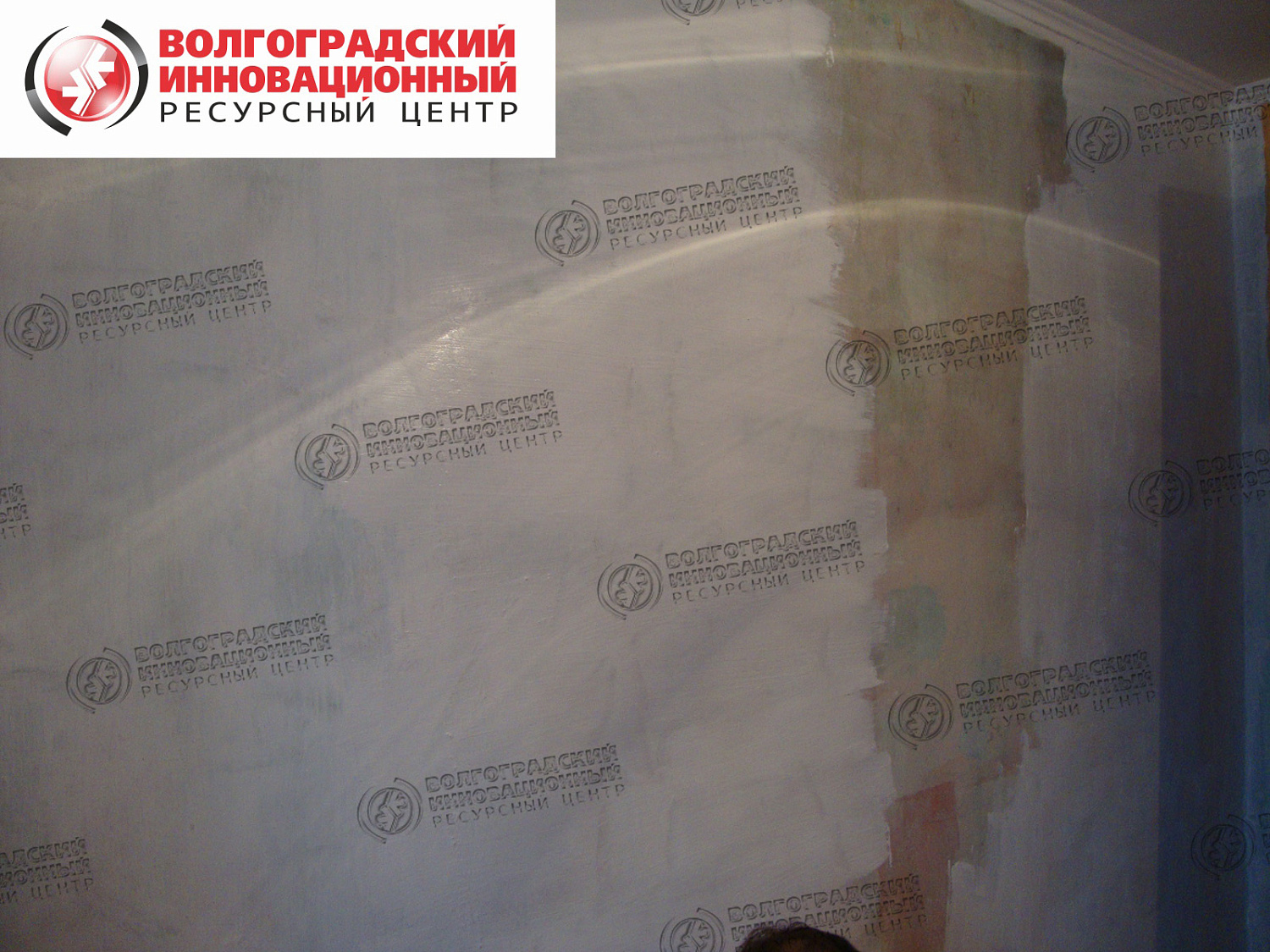 частная квартира плесень