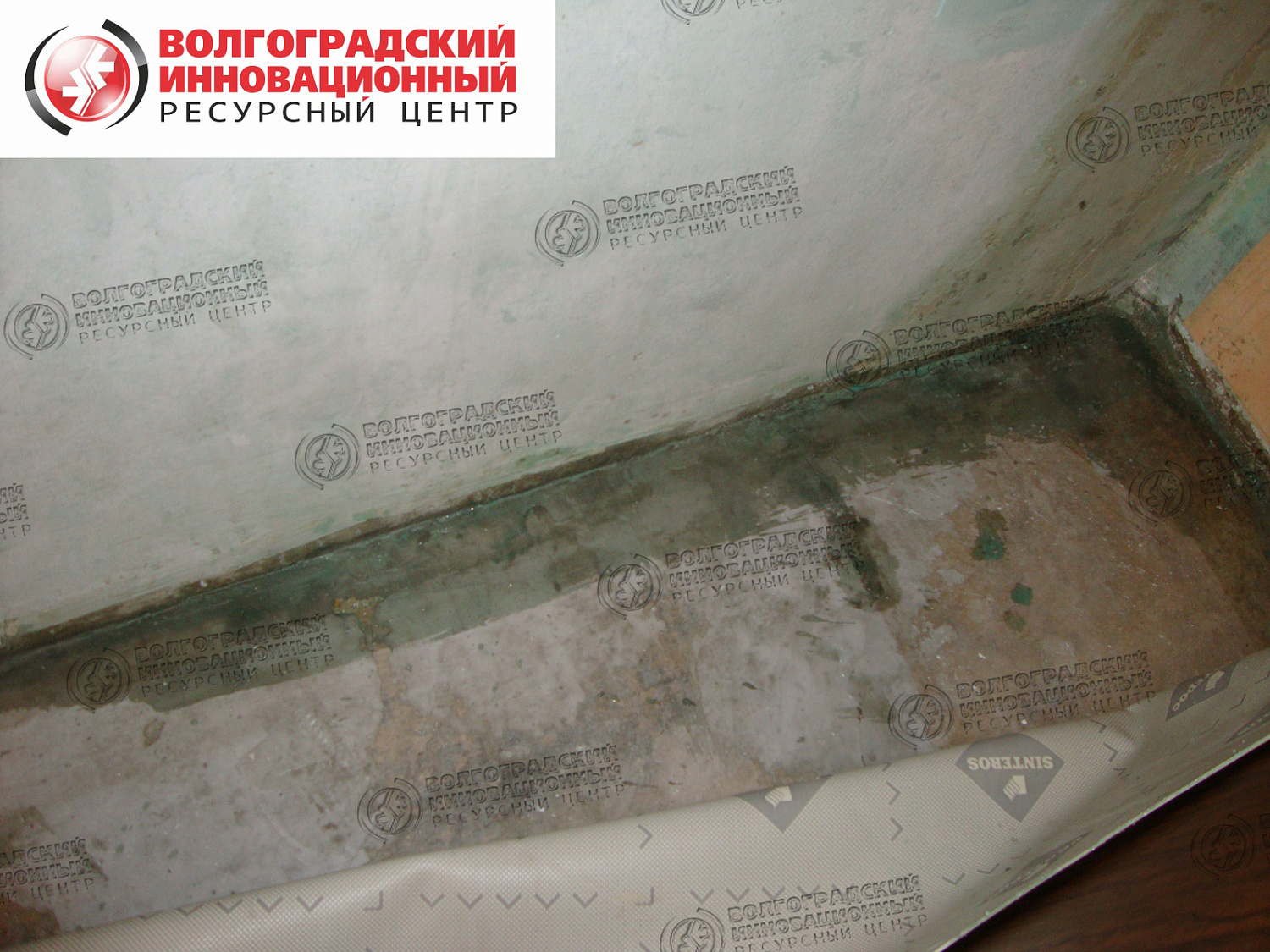 частная квартира плесень