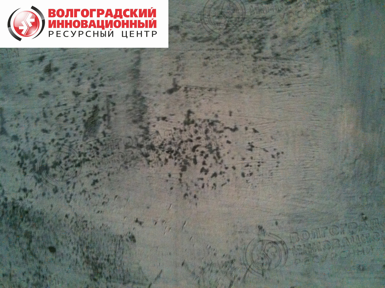 Волгоград Zirax