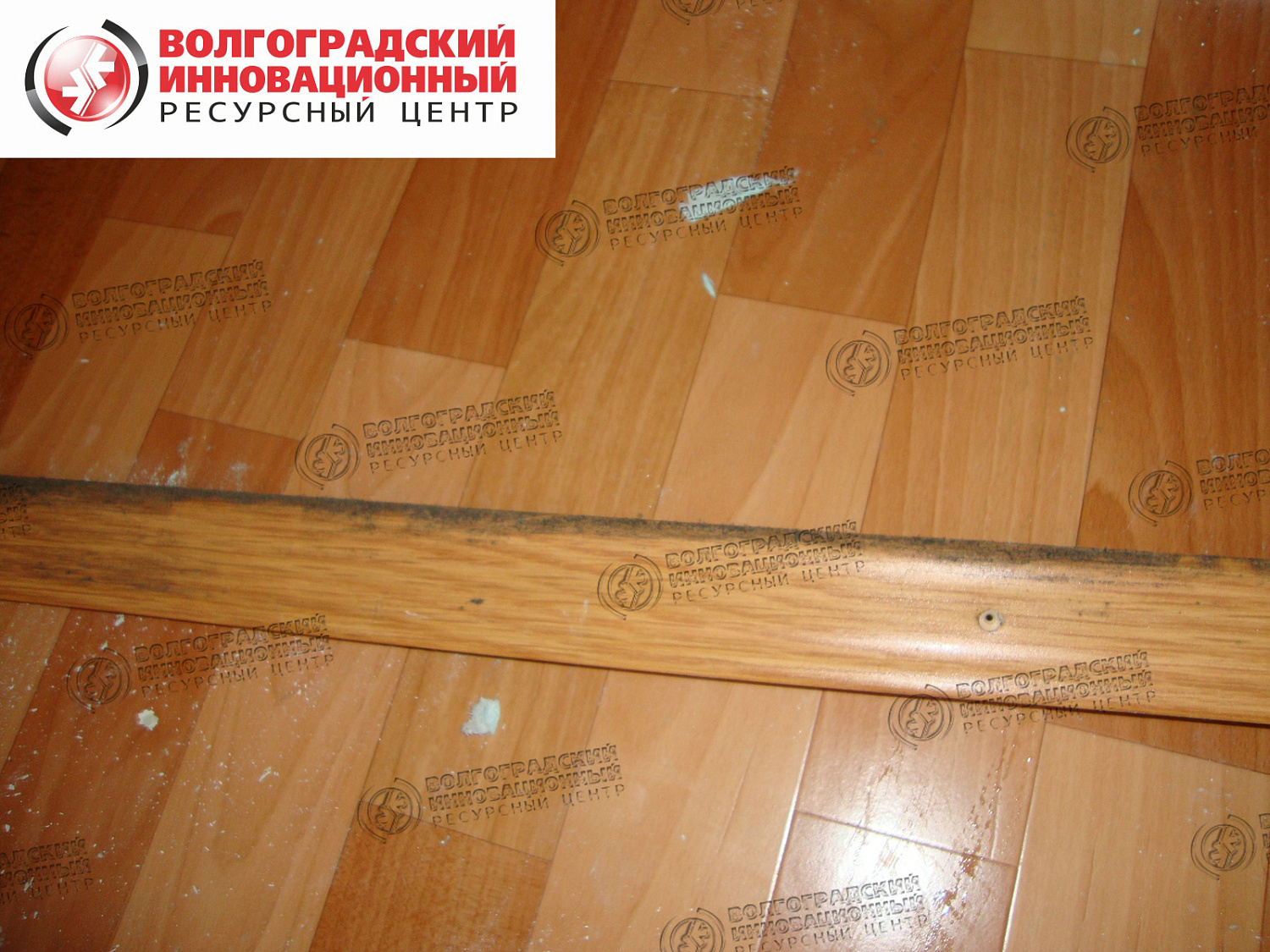 частная квартира плесень