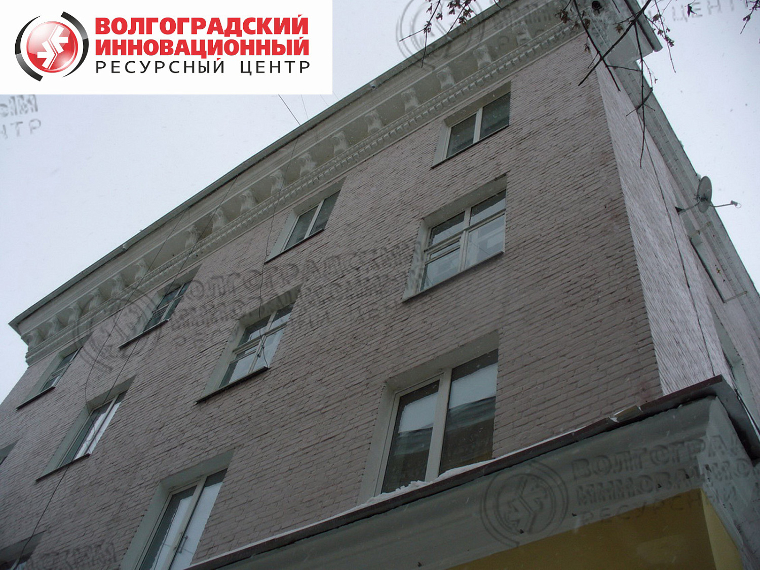 Брянск ул. Фокина-43