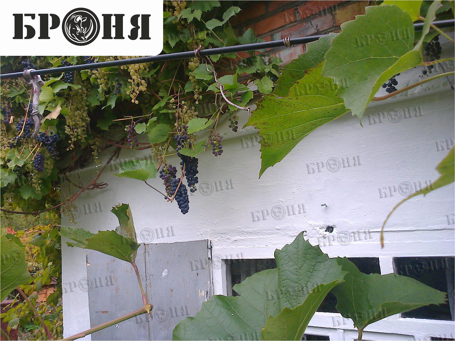 Новочебоксарск, утепление дачного дома