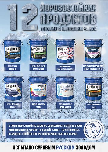 12 frost-resistant products "BRONYA", ready for application in winter and frost additives. Tested by the harsh Russian cold.
