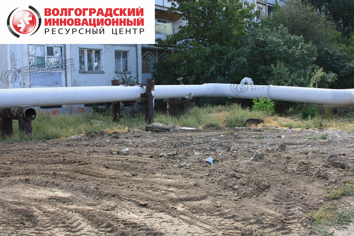 Волгоград ул.Старополтавская + ул.Турбинная