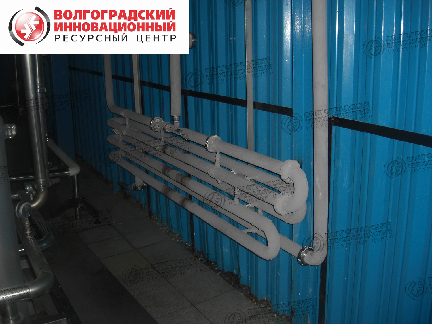 Lipetsk, "Edelweiss", tinted with Tikkurila