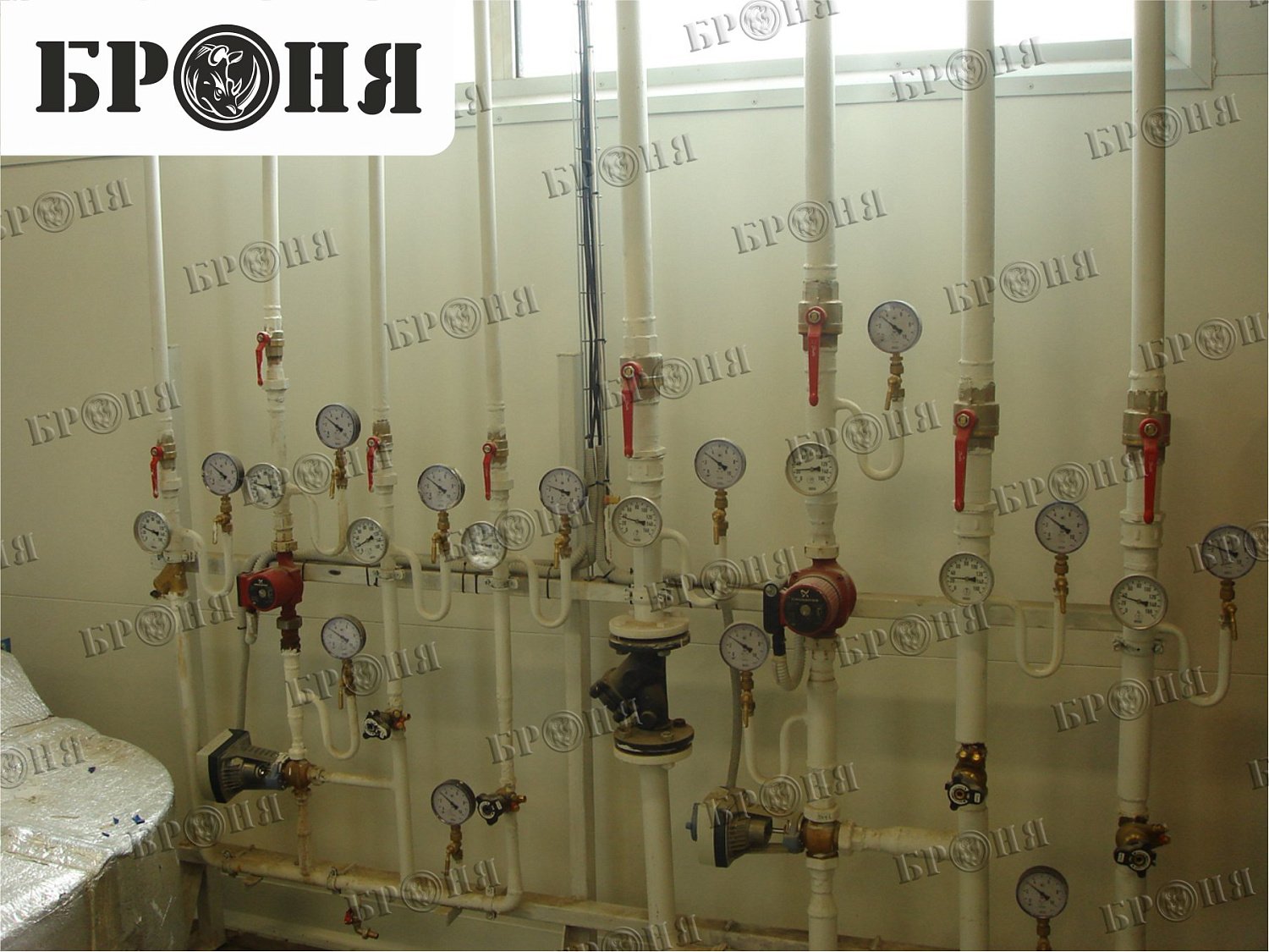 Photo report on the insulation with Bronya - "Nutricia - Danone" in Istra, Moscow region