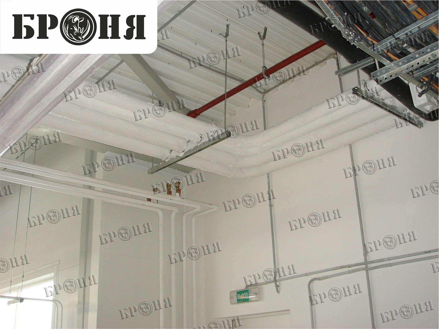 Photo report on the insulation with Bronya - "Nutricia - Danone" in Istra, Moscow region