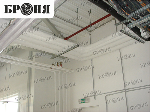 Photo report on the insulation with Bronya - "Nutricia - Danone" in Istra, Moscow region