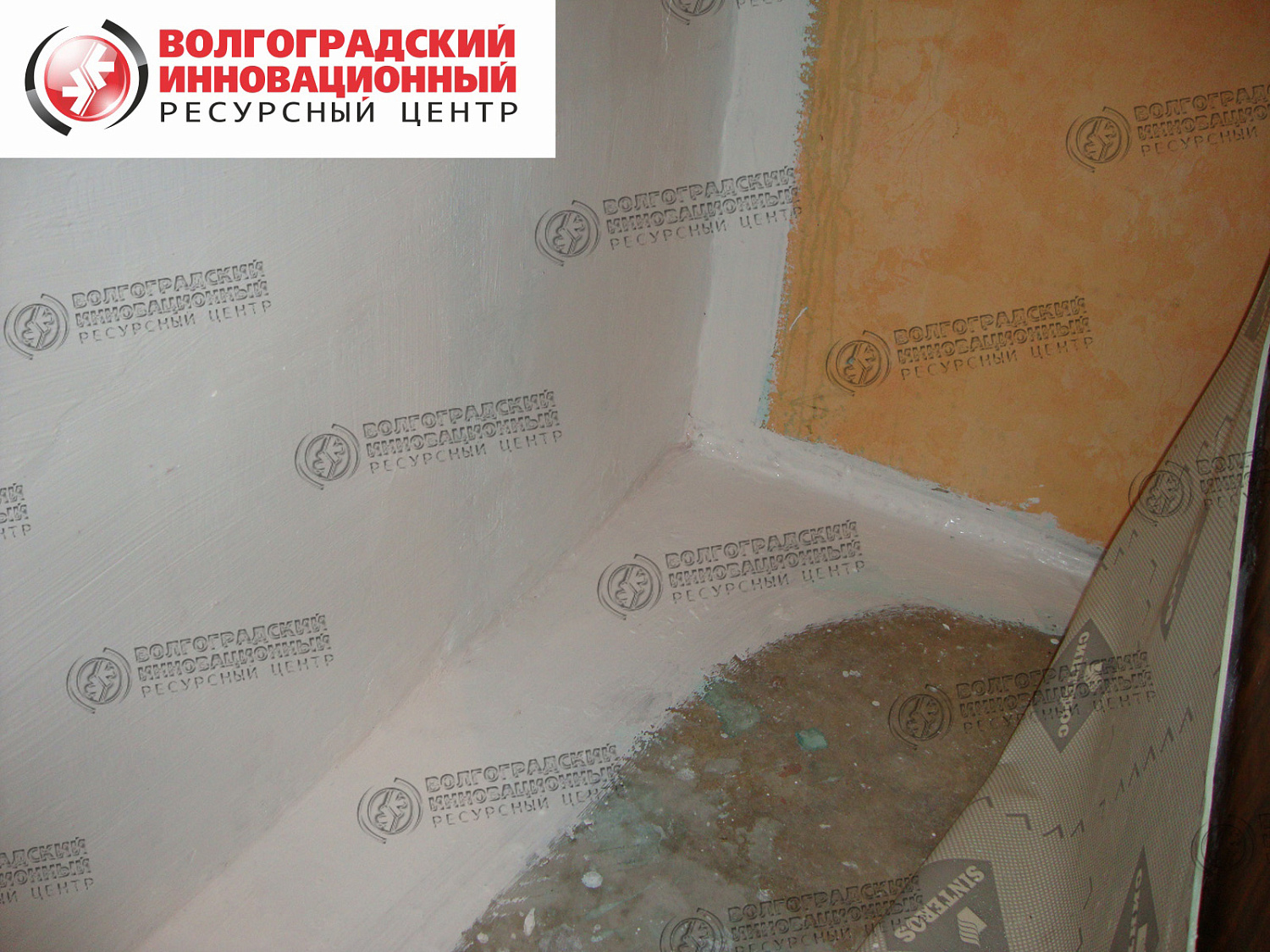 частная квартира плесень