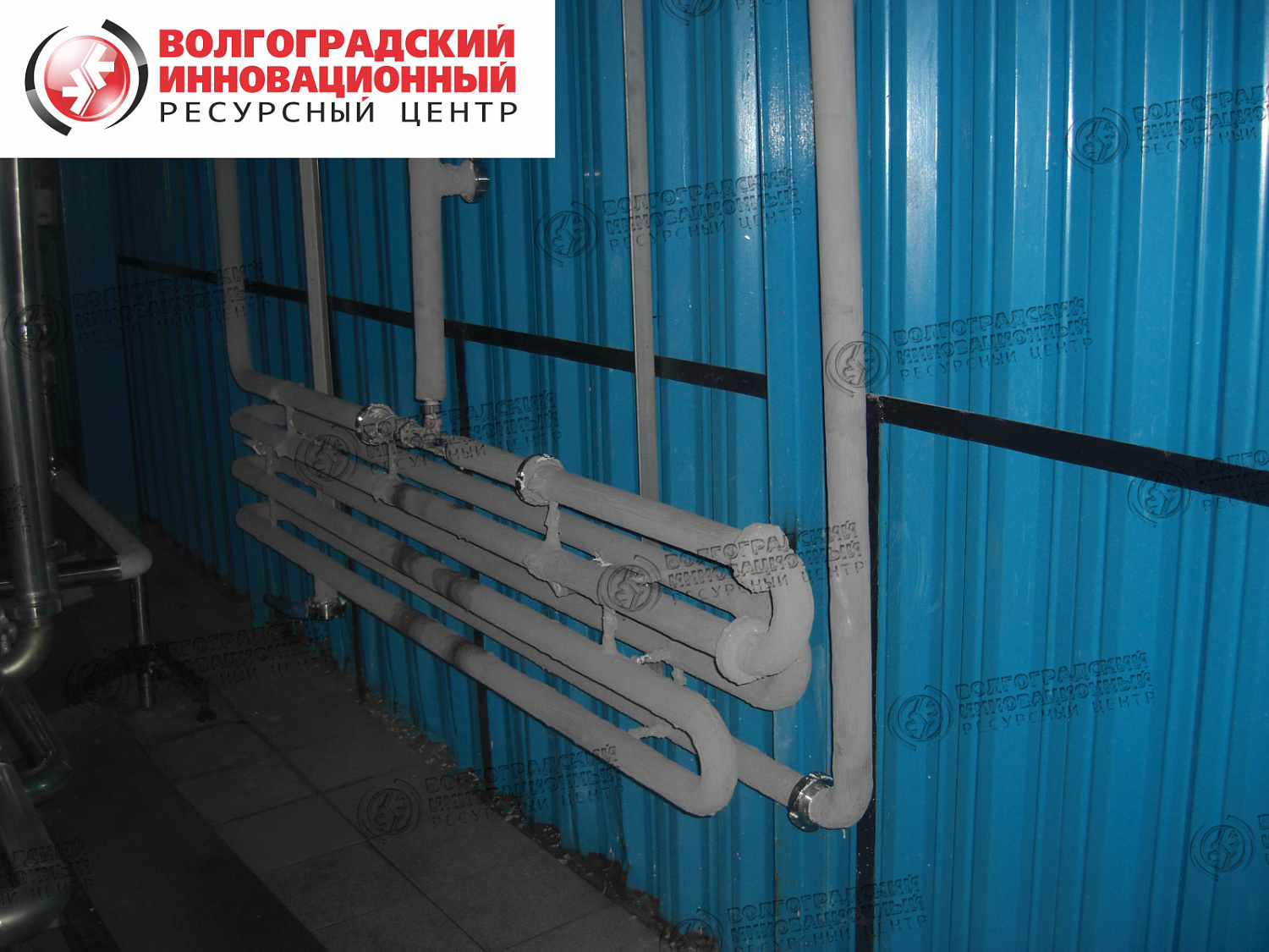 Lipetsk, "Edelweiss", tinted with Tikkurila