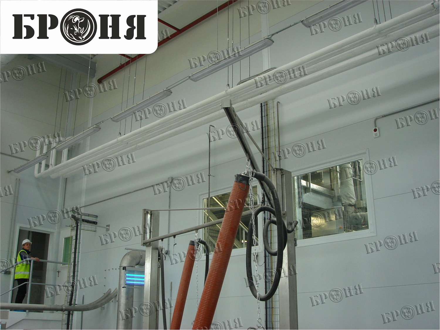 Photo report on the insulation with Bronya - "Nutricia - Danone" in Istra, Moscow region