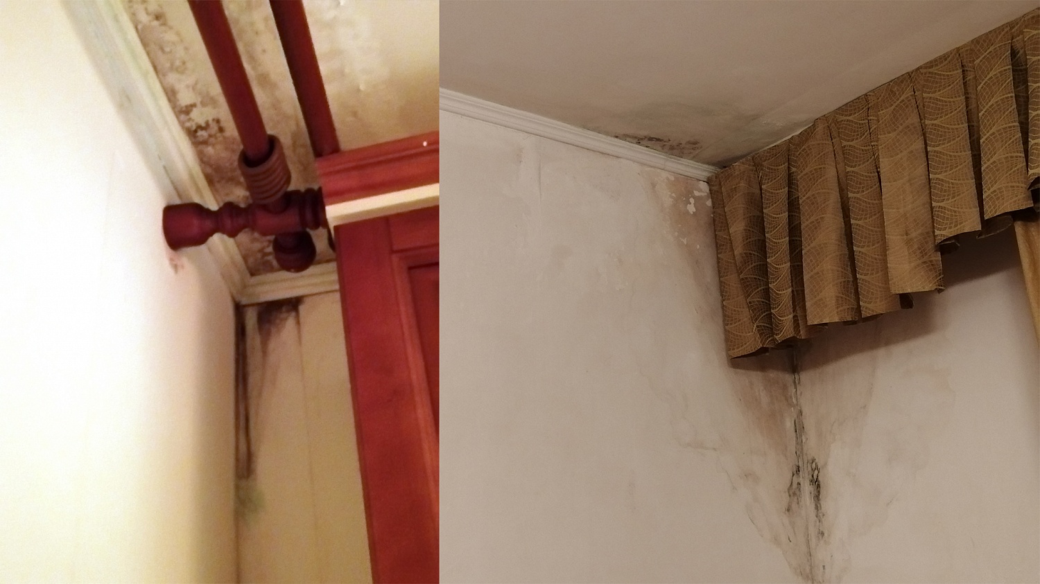 Bronya Grunt, Wall, Light when removing frost penetration and mold in the apartment. Krasnoyarsk