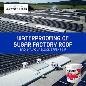 Waterproofing of Mattony sugar factory roof with "Bronya AquaBlock Effekt NF", Slovakia (photos and video)