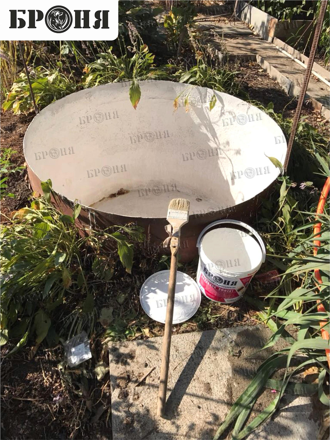 Ставропольский край, емкость для разведения кувшинок