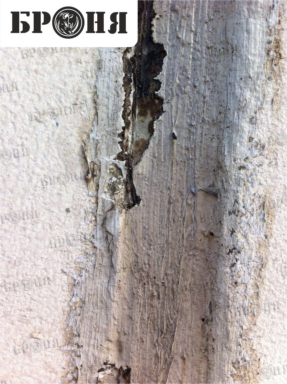 Волгоград, межпанельные швы. Броня Зима