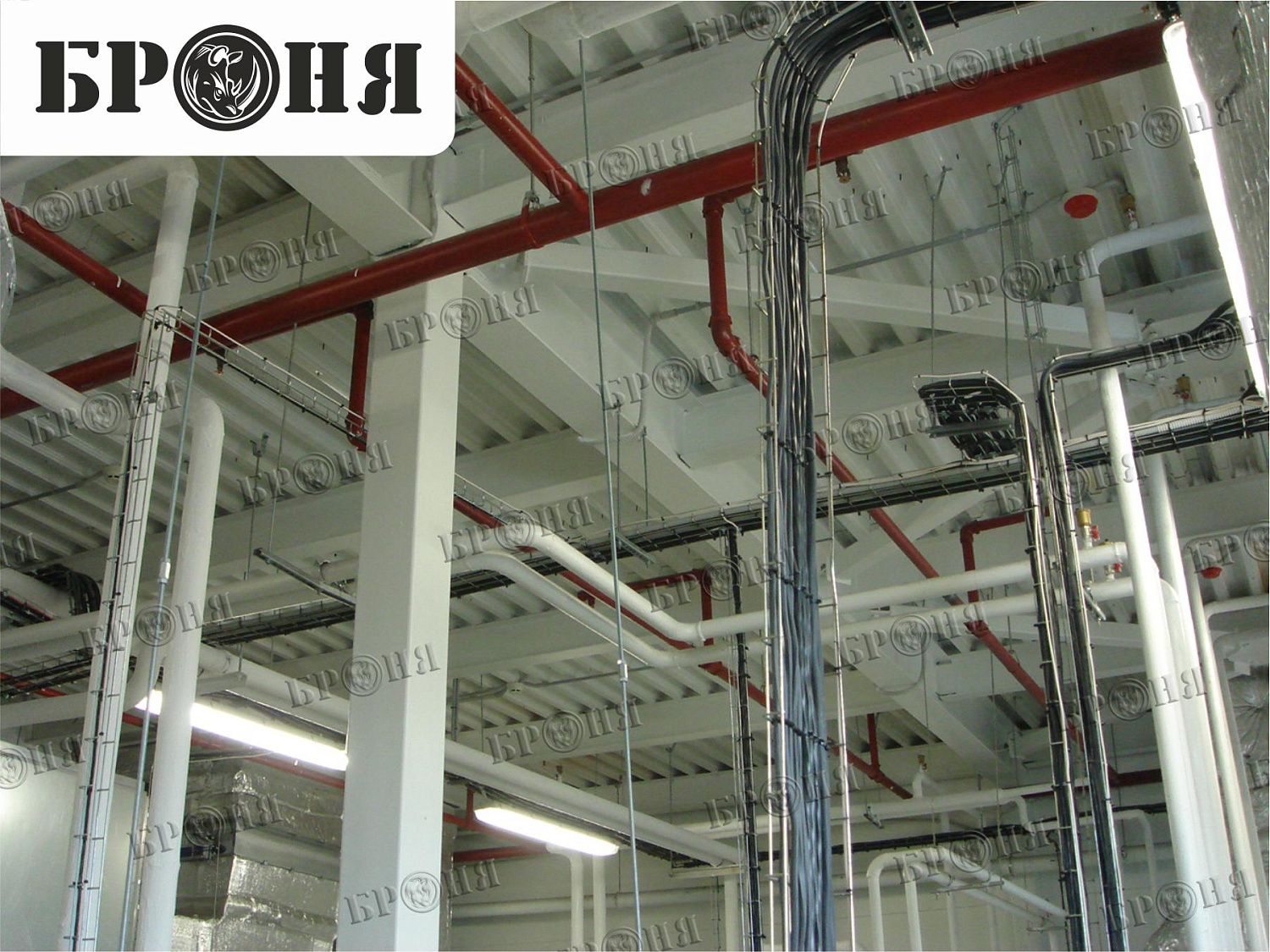 Photo report on the insulation with Bronya - "Nutricia - Danone" in Istra, Moscow region