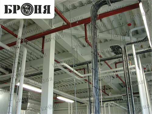 Photo report on the insulation with Bronya - "Nutricia - Danone" in Istra, Moscow region