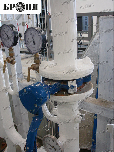 Photo report on the insulation with Bronya - "Nutricia - Danone" in Istra, Moscow region