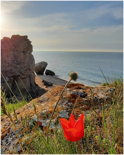 Комплексный подход для решения задач с материалами Броня: утепление фасада и гидроизоляция кровли в Крыму, Севастополе (фото)