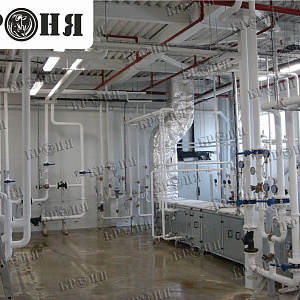 Истра, Московская обл. «НУТРИЦИЯ – ДАНОН»