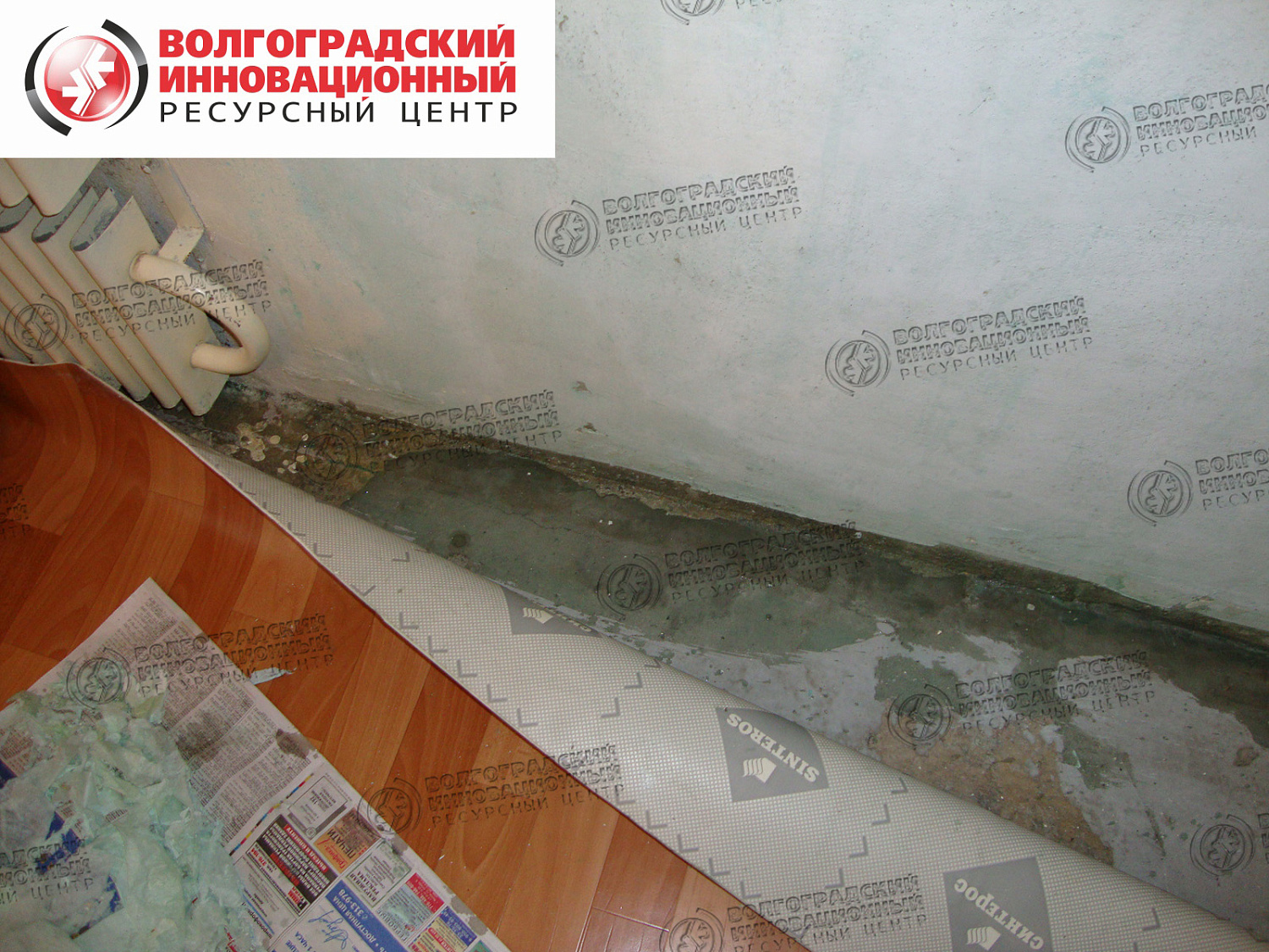 частная квартира плесень