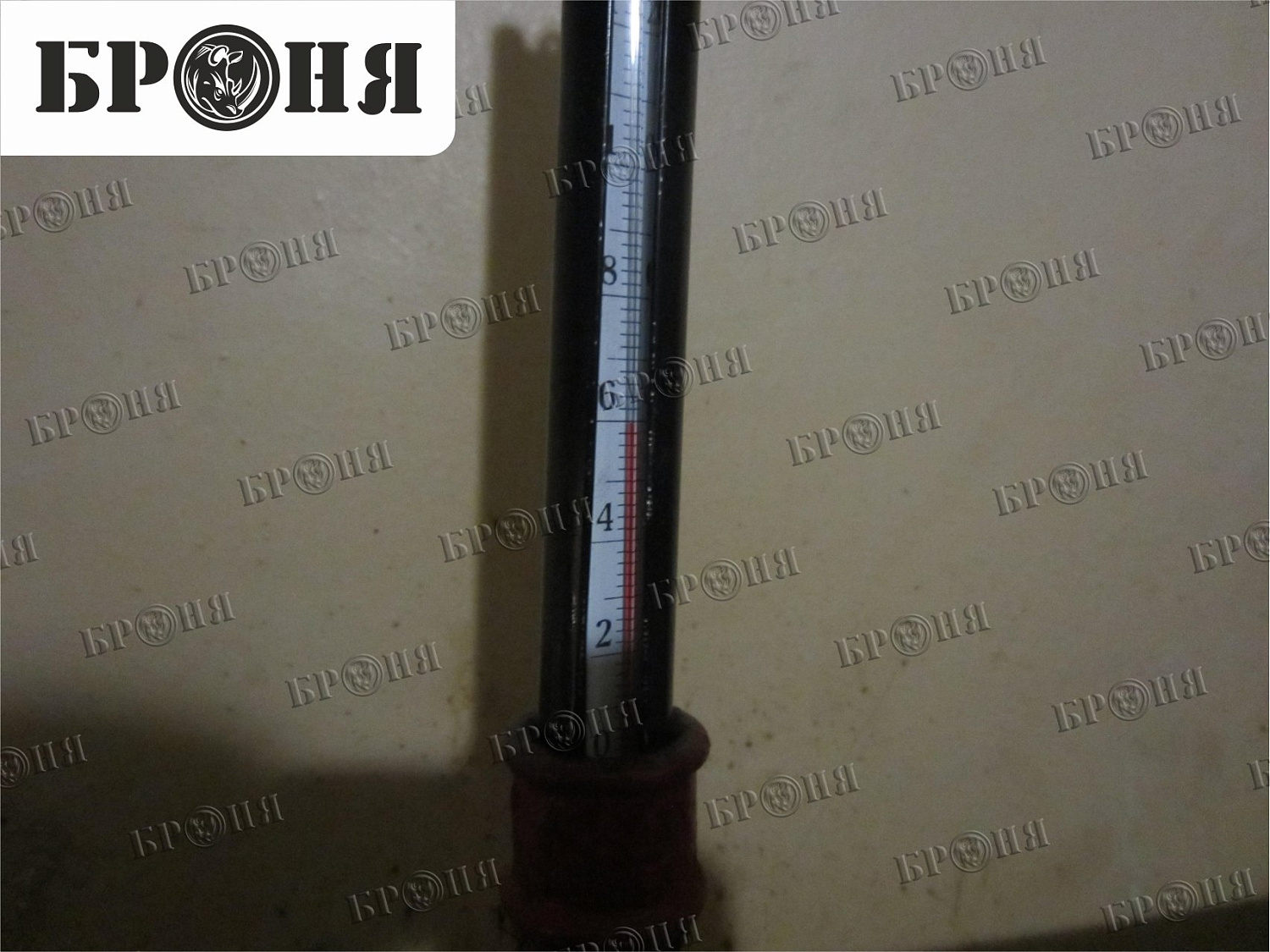 Волгоград, библиотека им. Горького